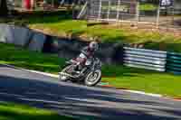 Vintage-motorcycle-club;eventdigitalimages;mallory-park;mallory-park-trackday-photographs;no-limits-trackdays;peter-wileman-photography;trackday-digital-images;trackday-photos;vmcc-festival-1000-bikes-photographs